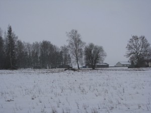 Vetavallen på avstånd