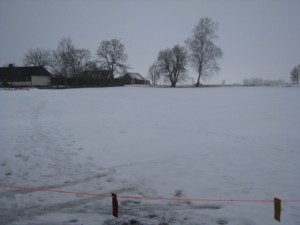 Lilla planen